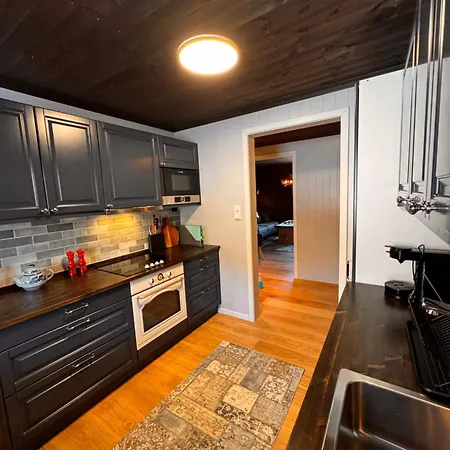 Apartament Ustedalen *